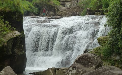7-Day Hill Country Adventure Tour in Colombo, Sri Lanka