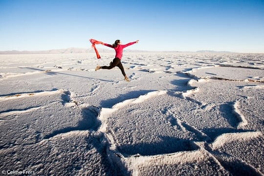 Safari to the Clouds Tour Northwest Argentina from Salta