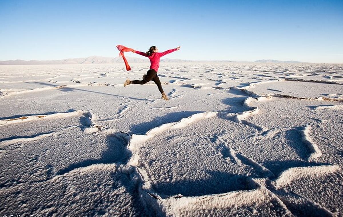 Safari to the Clouds Tour Northwest Argentina from Salta