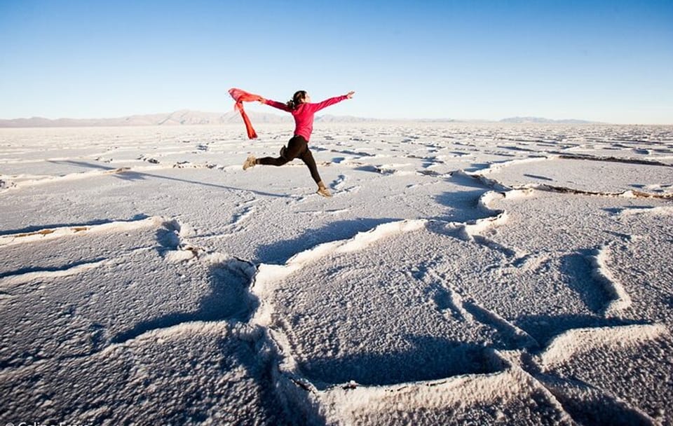 Andes Safari Tour from Salta to Salinas Grandes