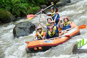 Bali Private White Water Rafting in Ubud Including Transport