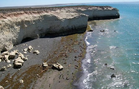 4-Day Tour to Puerto Madryn by Air from Buenos Aires