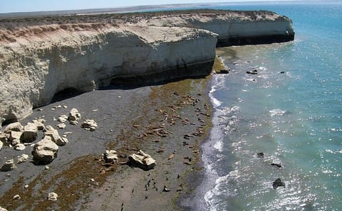 4-Day Wildlife and Nature Tour in Puerto Madryn, Argentina