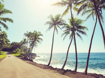 Professional Photo Shoot Tour on the Island of Hawaii