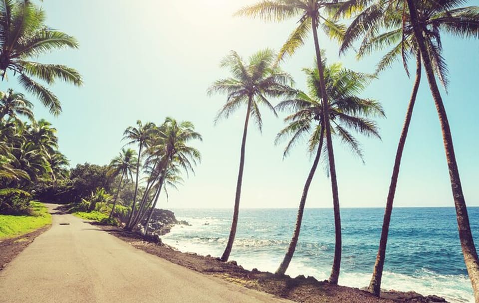 Professional Photo Shoot Tour on the Island of Hawaii