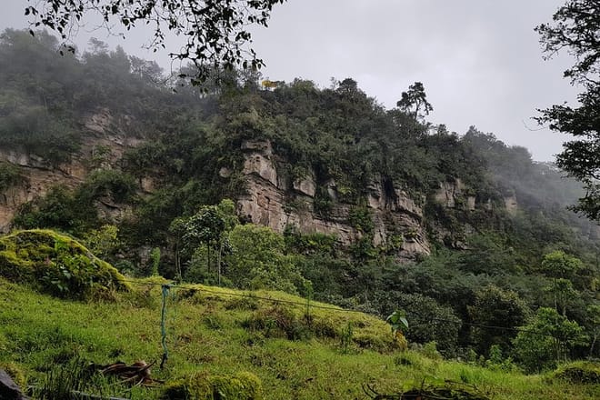 Naturaleza