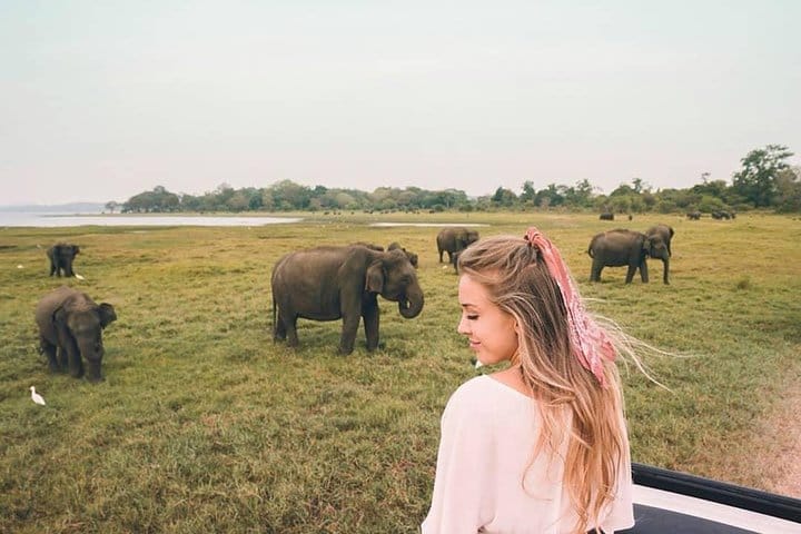 Horton Plains National Park Tour With Scenic Train Ride