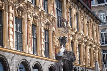 Private Historic Walking Tour of Lille's Architectural Highlights