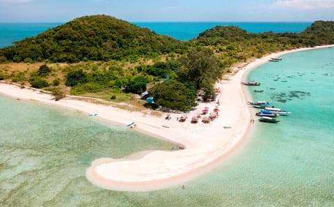 Koh Samui: Pig Island Tour by Speedboat with Snorkeling