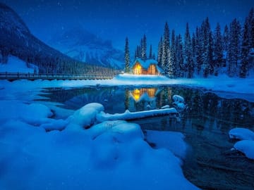 Lake Louise, Emerald Lake and Peyto Lake Tour from Banff