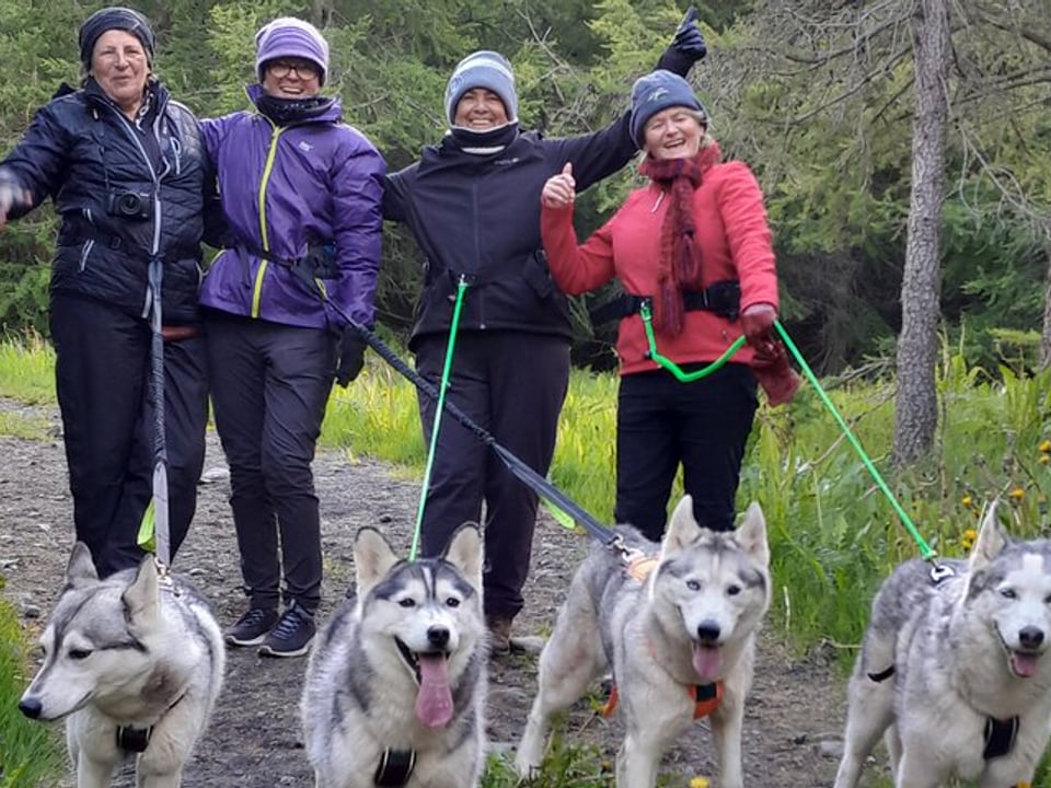 Hiking with Husky in Akureyri — goHusky