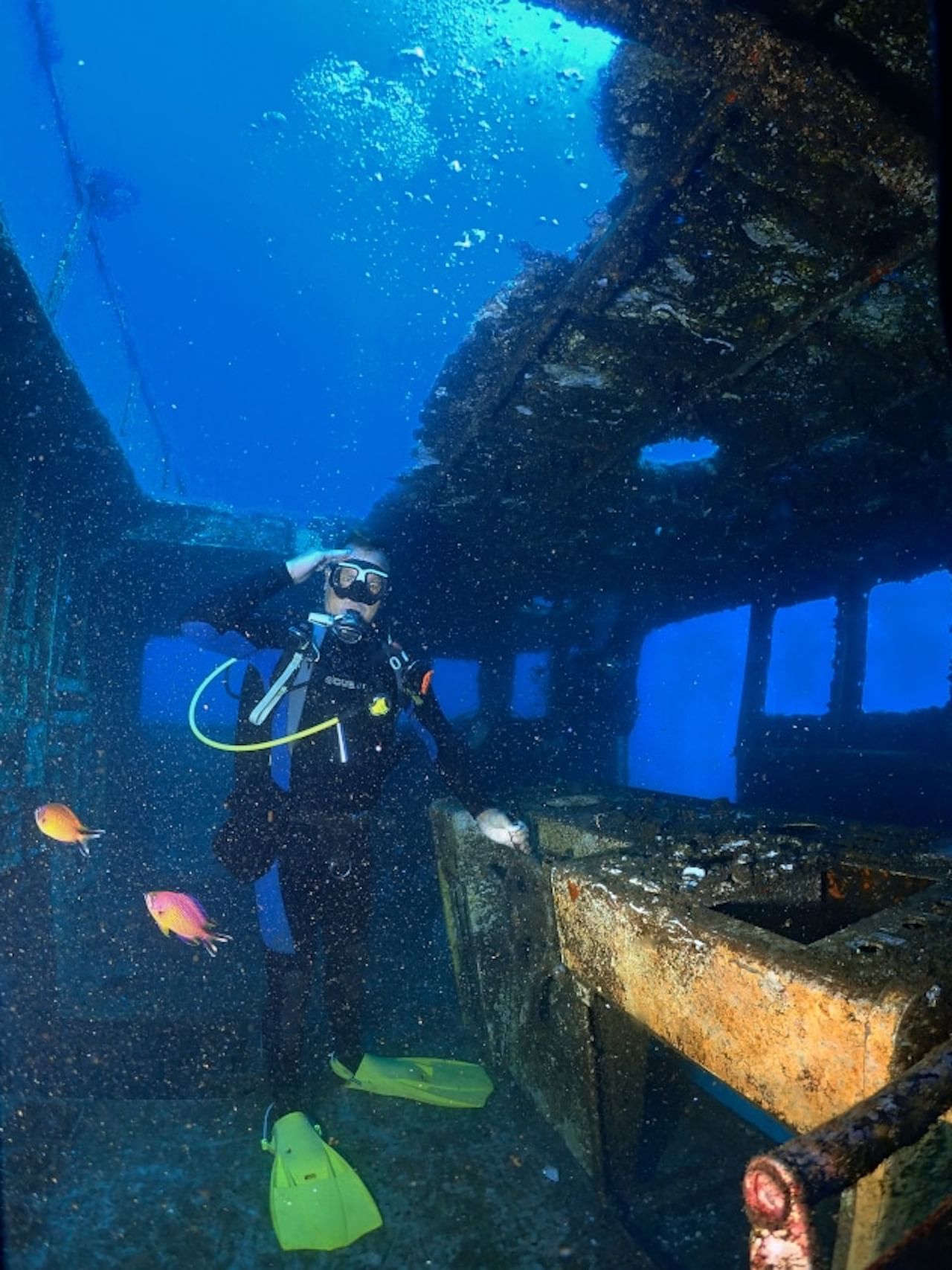 WRECK DIVING MADEIRA FUNCHAL