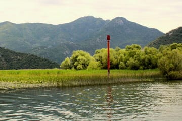 Short Skadar Lake Boat Tour to Morača River with Drinks