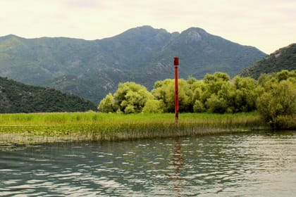 Short Skadar Lake Boat Tour to Morača River with Drinks