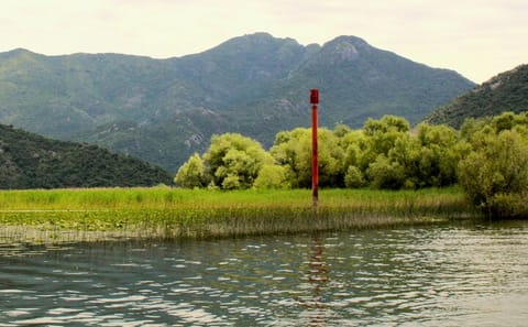 Boat Tour of Skadar Lake and Morača River in Virpazar