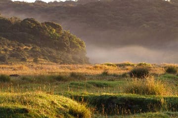 Horton Plains and Nuwara Eliya Nature Walking Tour in Kandy