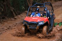 Yaaman Mud Buggy 2