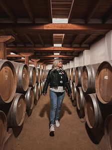 Visita à vinícola Undurraga com entrada e degustação de vinhos