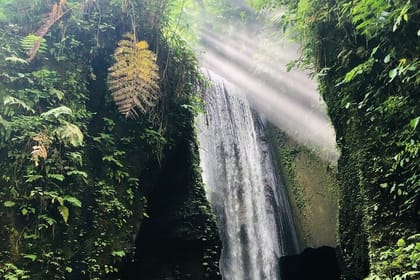 Private Bali and Balinese Authentic Cooking Class