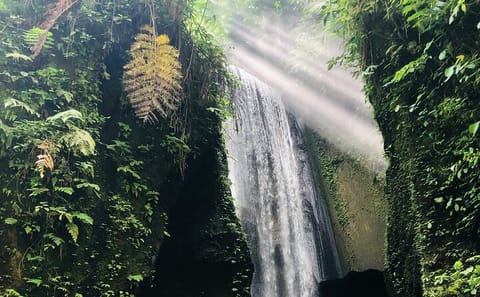 Private Balinese Cooking Class in Tembuku, Indonesia
