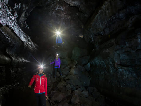 Whale Watching & Caving, photo 3