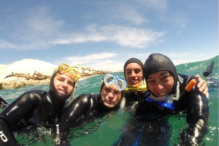 Snorkeling with Sea Lions in Puerto Madryn 2