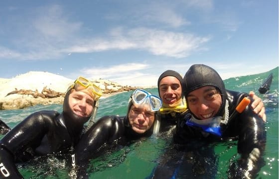 Snorkeling with Sea Lions in Puerto Madryn