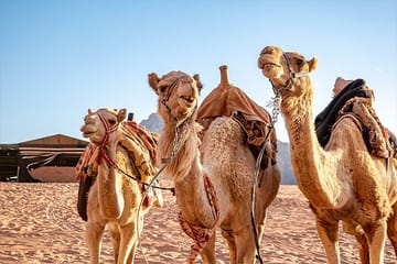 Private Wadi Rum Desert Tour from Petra with Film Sites