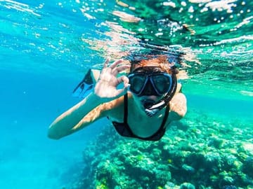Snorkeling Adventure at Ras Mohamed and The White Island