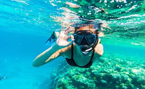 Snorkeling Adventure at Ras Mohamed and The White Island