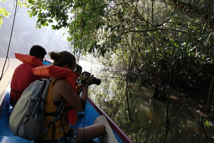 Tortuguero National Park Canal Tour with Canoe
