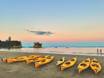 Bioluminescence Kayak Tour at Waiake Beach in Auckland
