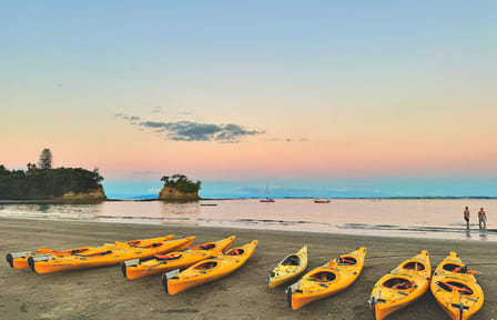 Bioluminescence Kayak Tour at Waiake Beach in Auckland