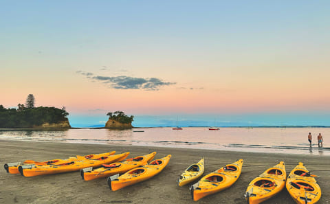 Bioluminescence Kayak Tour at Waiake Beach in Auckland