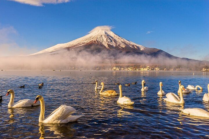 Mt Fuji Private Day Trip from Tokyo with English speaking driver