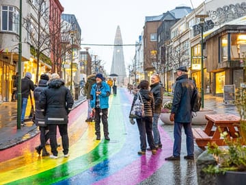 The Reykjavik CatWalk at the Furrtastic Rainbow street