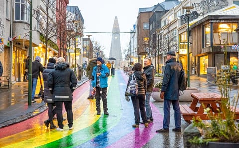 Guided Walking Tour of Reykjavík's Cat Culture and Cafés