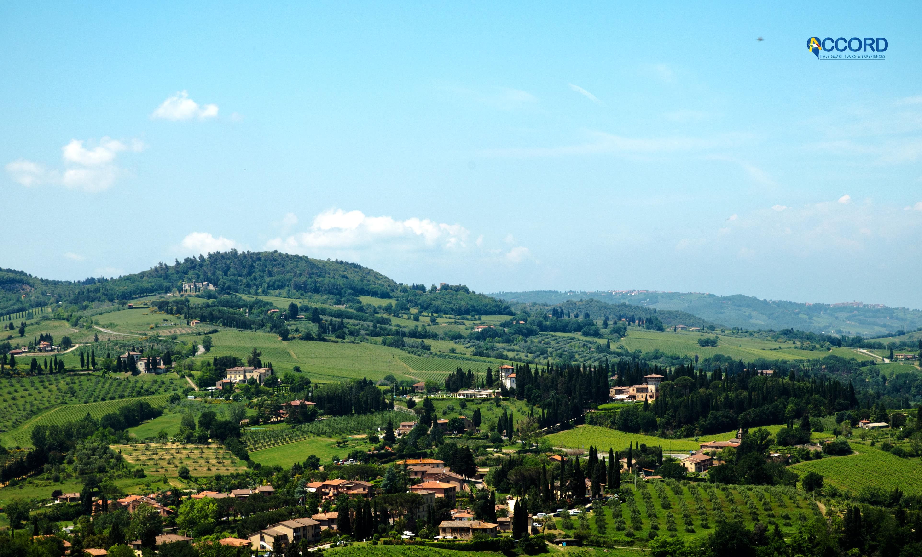 Aerial view of the Tuscan countryside with its typical olive groves and cypress trees
