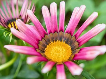 Private Day Tour of Godawari Botanical Garden in Kathmandu