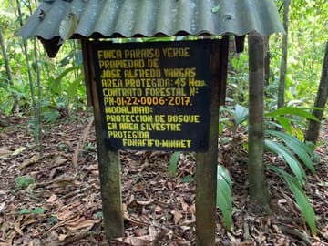 Corcovado National Park Day Adventure in Drake Bay
