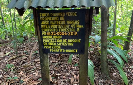 Corcovado National Park Day Adventure in Drake Bay