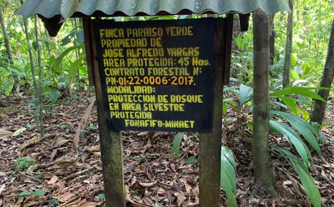 Corcovado National Park Day Adventure in Drake Bay