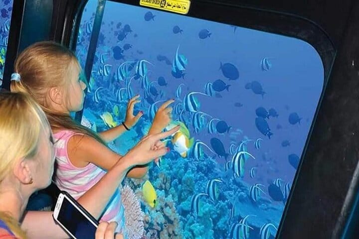 Conquest semi Submarine Reef & Marine Life Experience in Hurghada