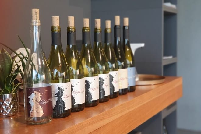 Wine Tasting with Pairing Snacks in Vipava Valley - Photo 2