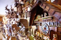 Full-Day Private Tour from Zurich to Lake Titisee Black Forest 3