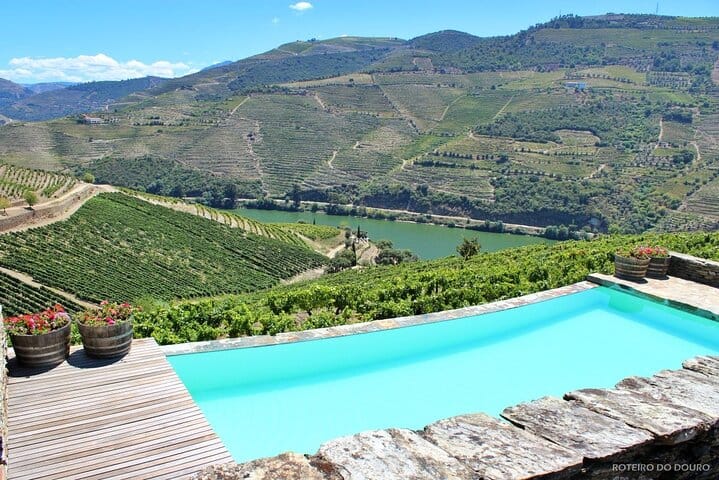 Douro Tour, Lunch at an Award-Winning Winery and Private Cruise