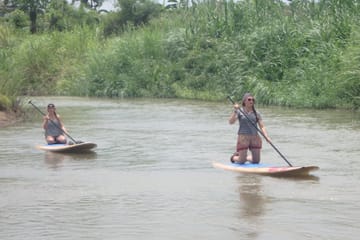 Stand-Up Paddle Boarding Adventure on Mae Ping River, Chiang Mai