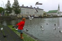 The Pond