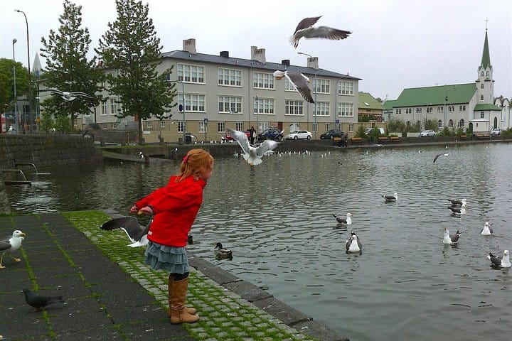 The Pond