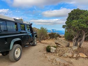 Half-Day Jeep Tour with Trekking in Rio Pitrisconi in San Teodoro